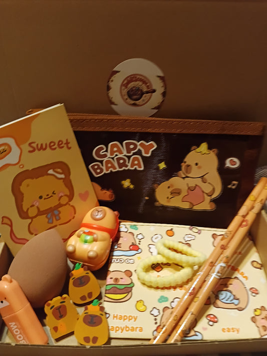 Girl's Themed Gift Boxes